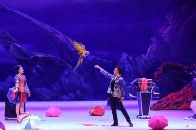 2017年朝陽(yáng)公園大馬戲 全方位票務(wù)代理與商務(wù)咨詢(xún)指南